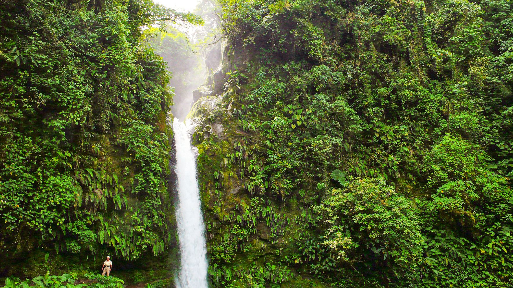 CoR_Monteverde_Wasserfall_Rhode.jpg