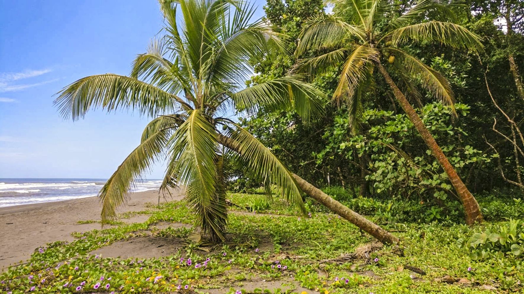 CoR_Nationalpark_Tortuguero_01_jra.jpg