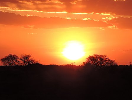 ärzte fortbildungen afrika.jpg