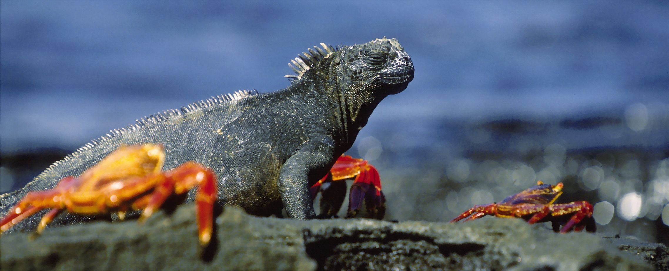 fortbilldungen-für-mediziner-2027