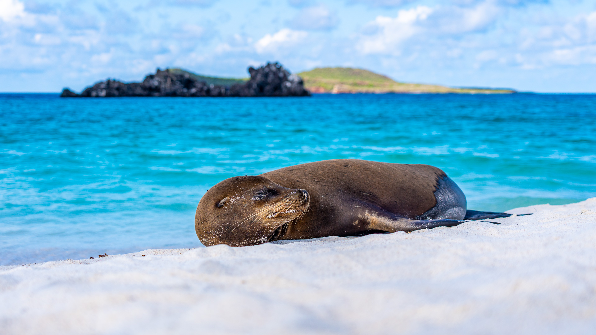 CME Punkte Fortbildungen 2027