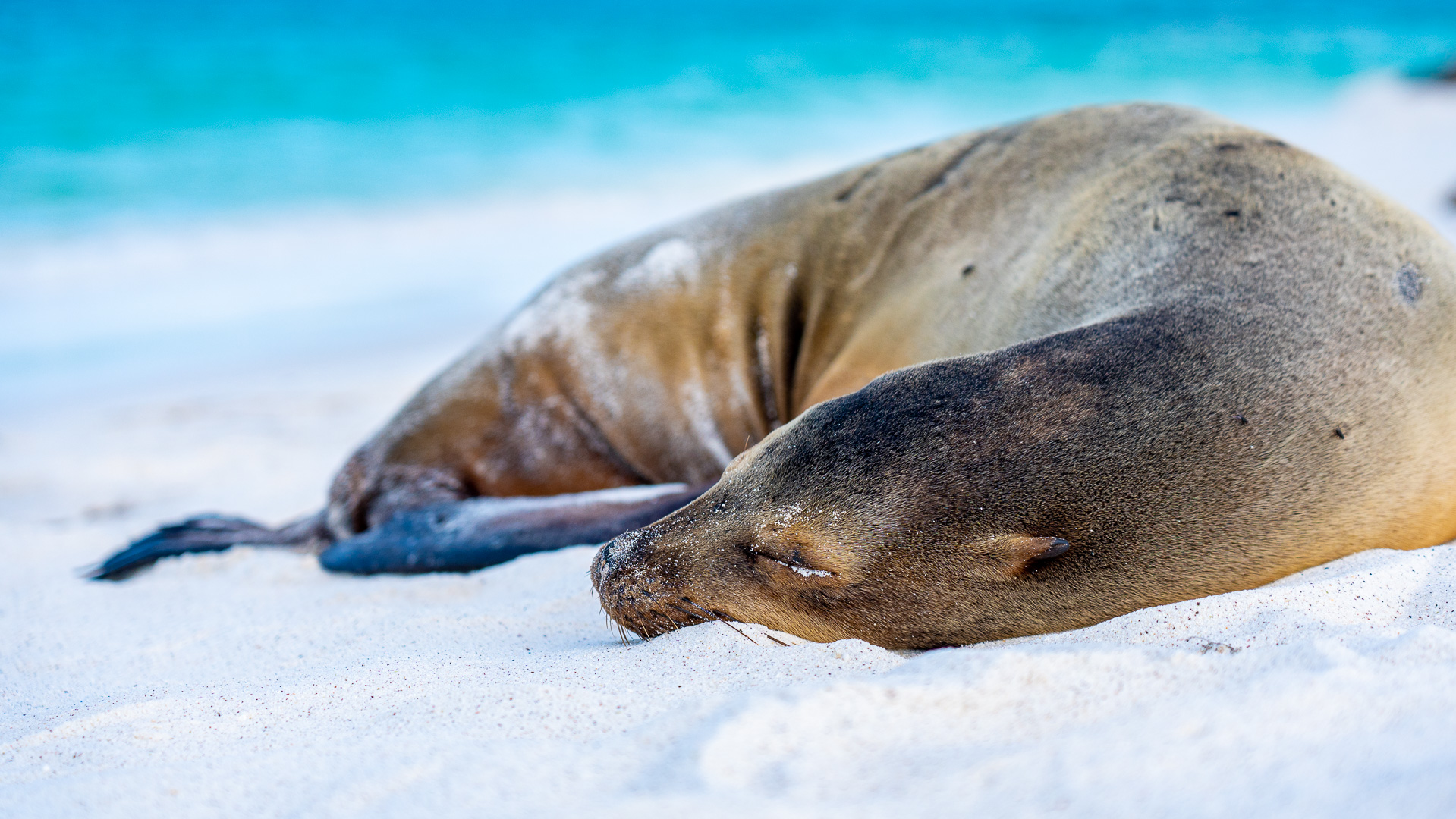 CME Punkte Weiterbildungen 2027