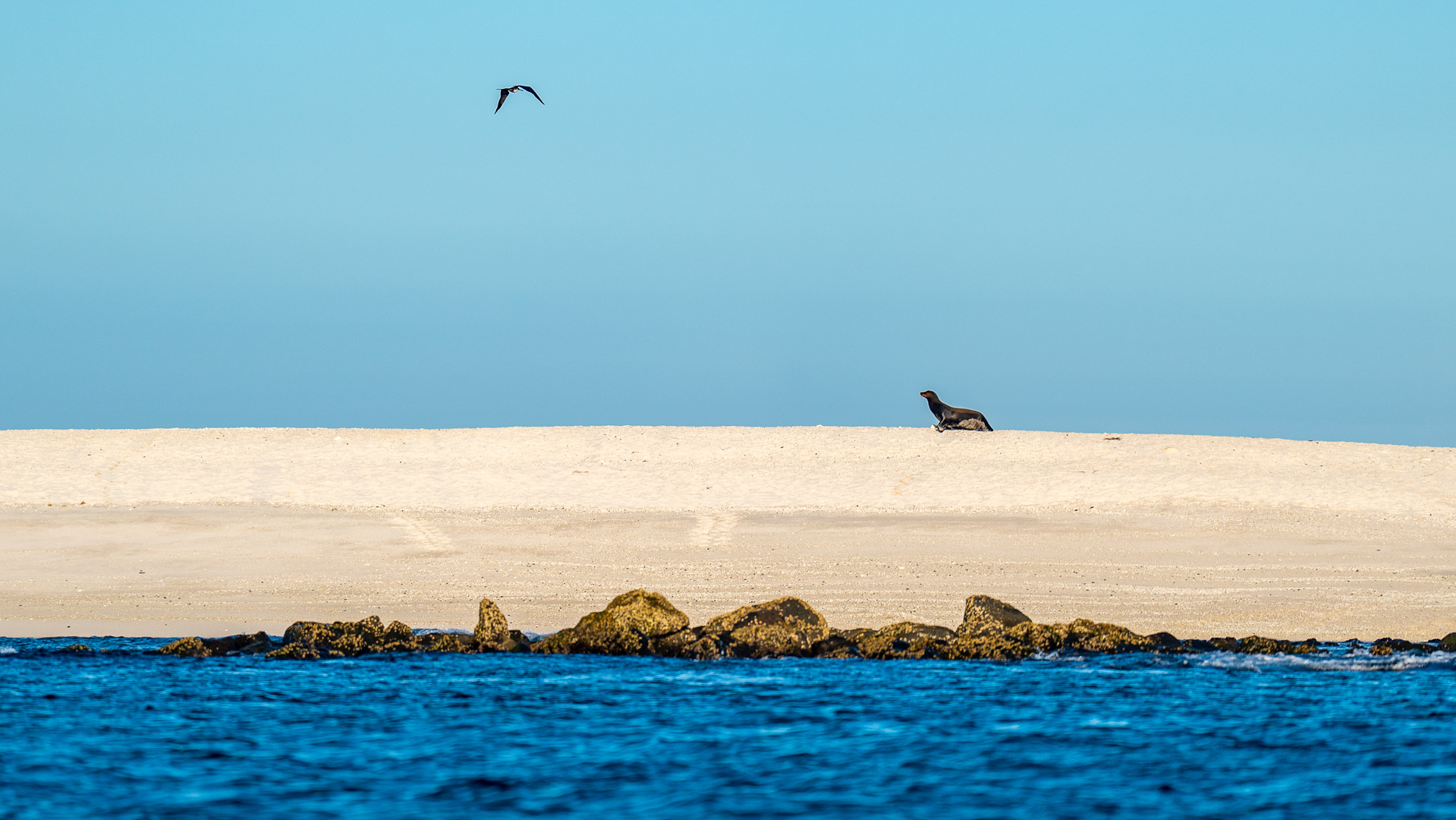 Reisemedizin Kurs 2027